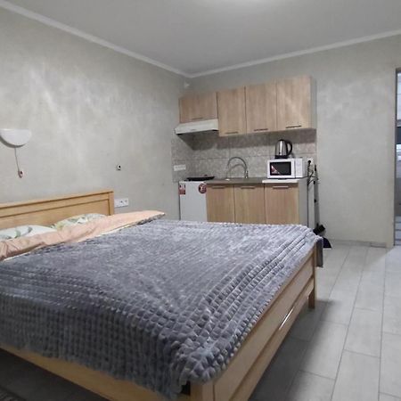 Guesthouse U Dida Viktora Γιαρέμτσε Εξωτερικό φωτογραφία
